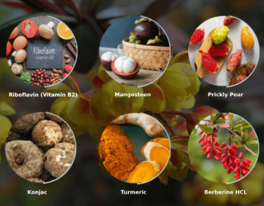 Ignitra Ingredients